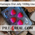 Kamagra Oral Jelly 100Mg Use 13